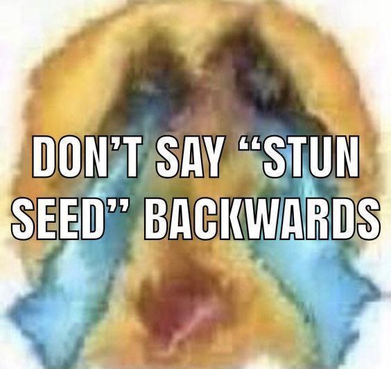 Не произноси Stun Seed наоборот Мем с предупреждением «Не произноси Stun Seed наоборот» на размытом фоне