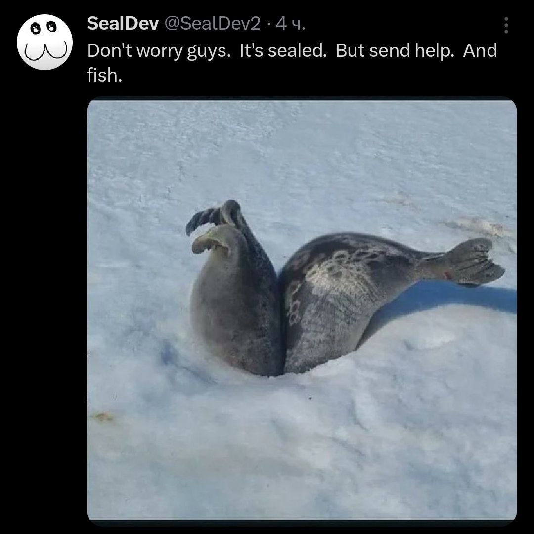 Мем про двух тюленей, застрявших в снегу, с надписью "Don't worry guys. It's sealed. But send help. And fish."