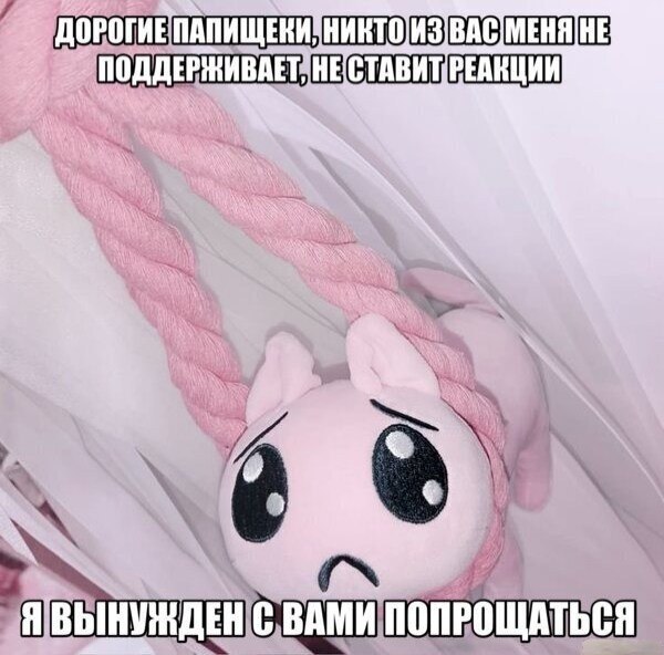 Грустная плюшевая игрушка жалуется подписчикам на отсутствие поддержки и реакций, а затем вынуждена с ними попрощаться.
