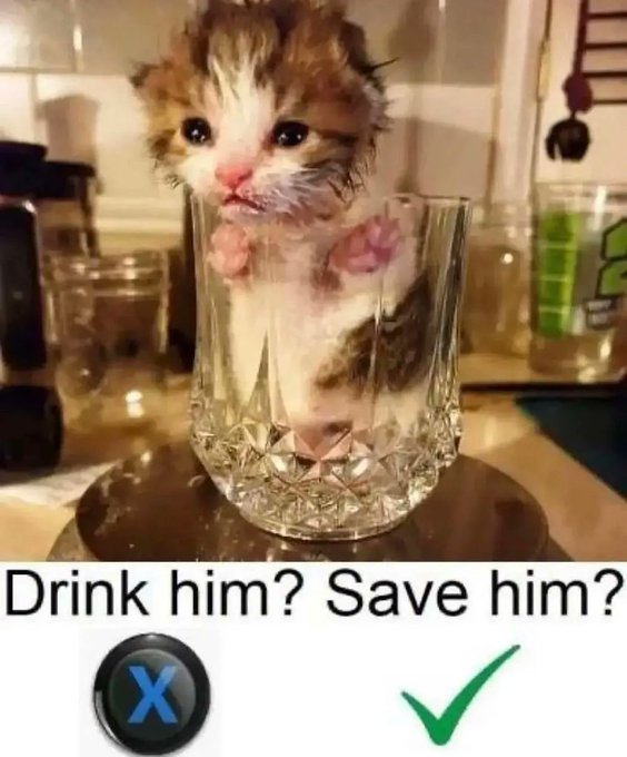 Drink him? Save him? Котёнок в стакане, мем с выбором выпить или спасти его