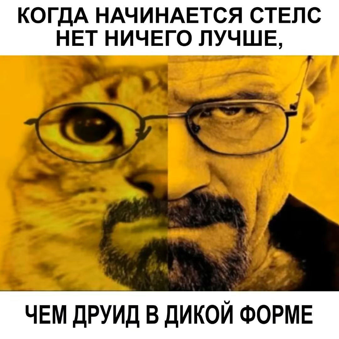 Друид в дикой форме Мем с котом-друидом и Уолтером Уайтом.