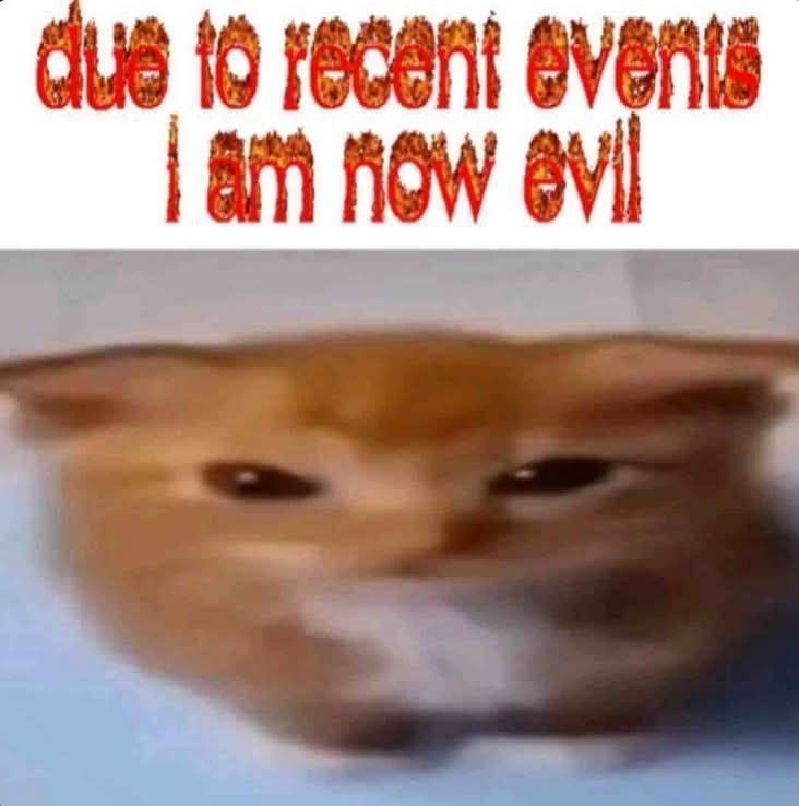 Размытый рыжий кот с надписью «due to recent events I am now evil» — «из-за недавних событий я теперь злой».