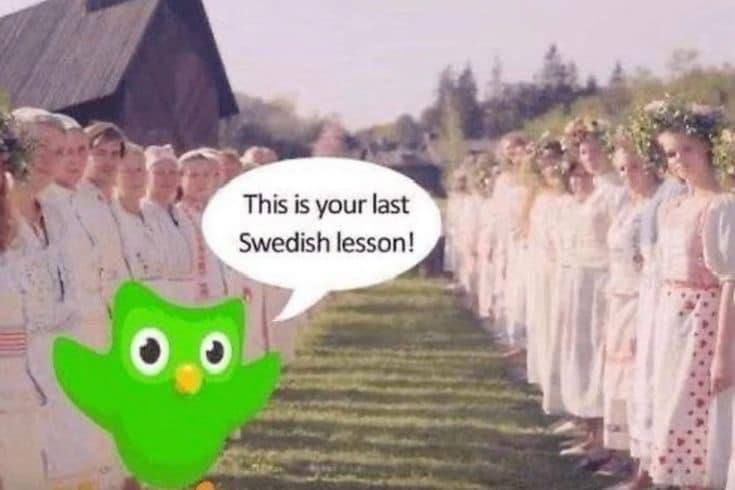 Duolingo и Солнцестояние Мем с совой из Duolingo и персонажами фильма «Солнцестояние»