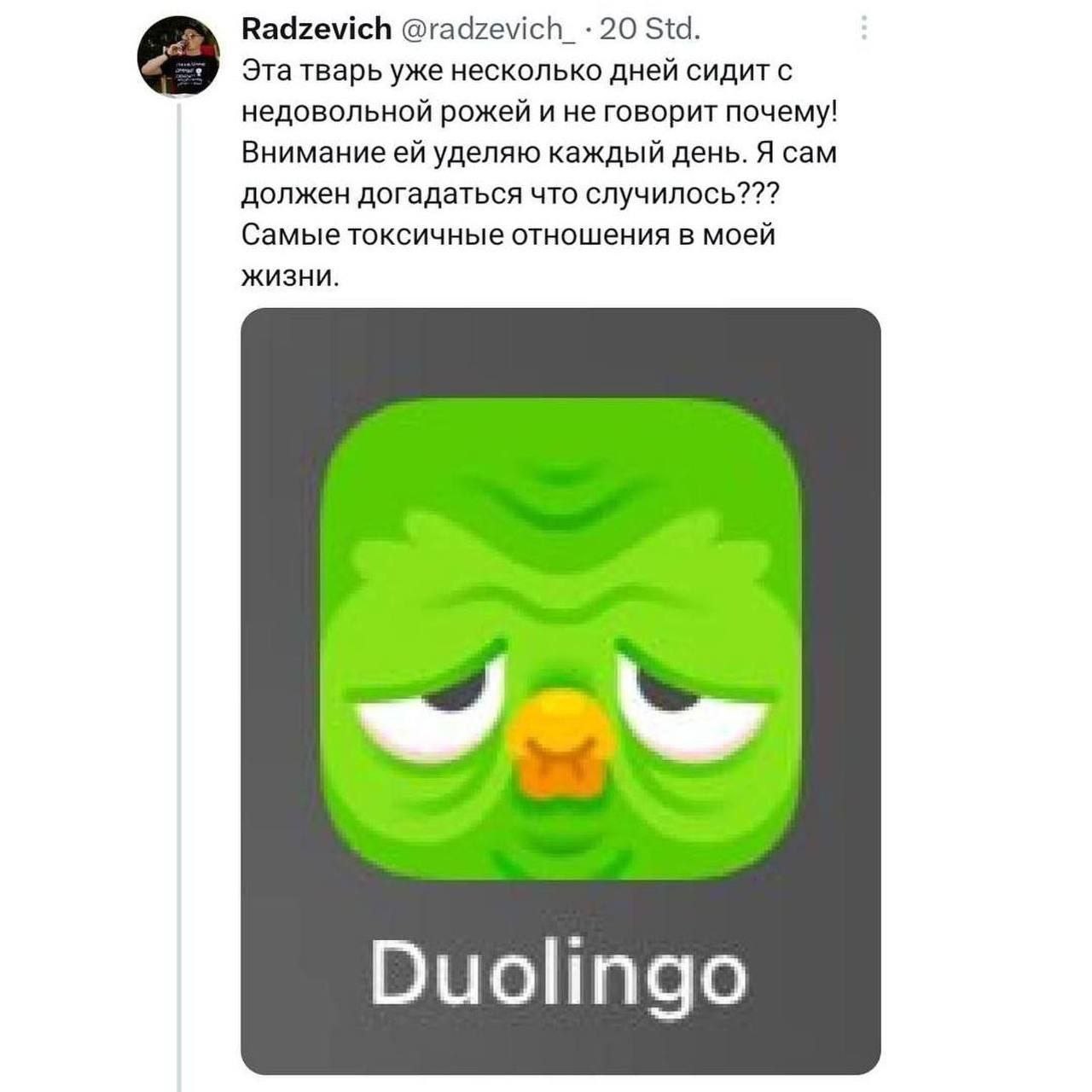 Дуолинго с недовольной рожей Мем с недовольным Дуолинго и подписью про самые токсичные отношения.