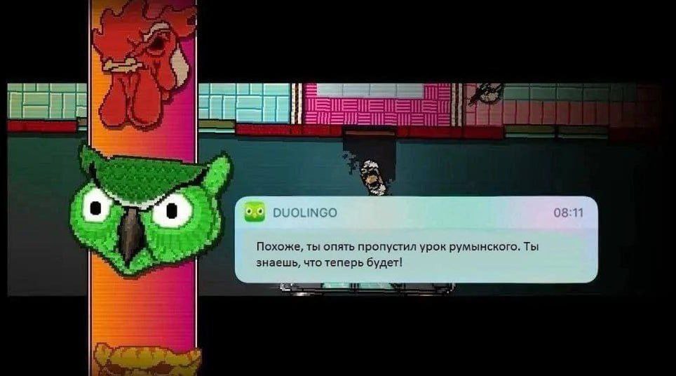 Сова Duolingo в Hotline Miami Сова Duolingo в стиле Hotline Miami угрожает пользователю за пропущенный урок румынского языка.