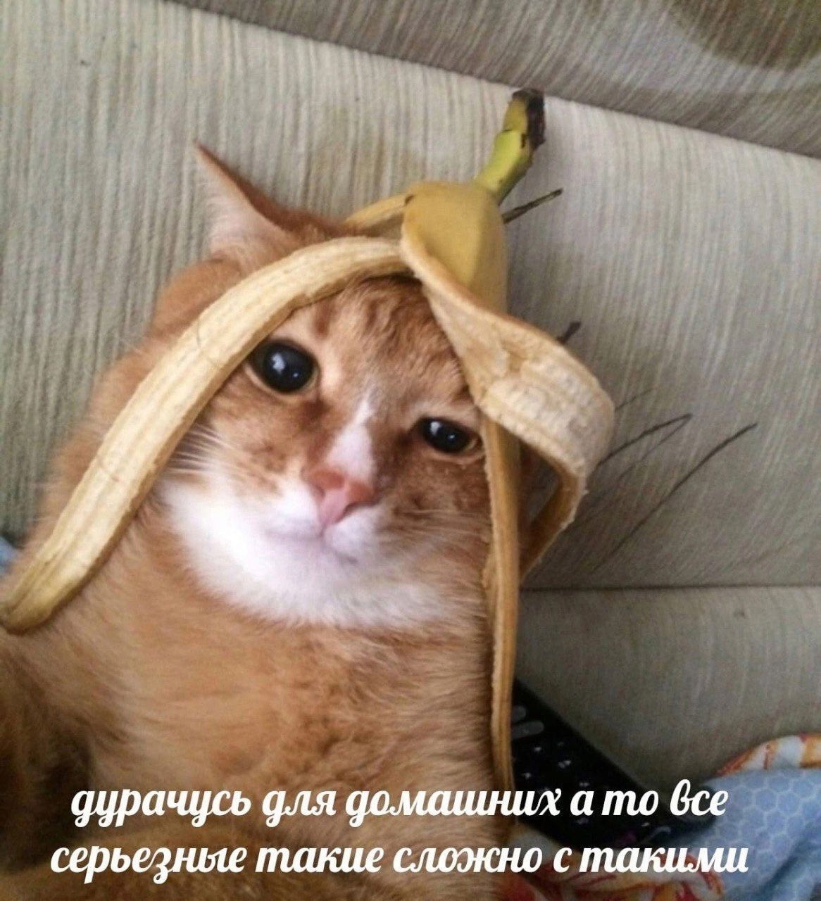 Дурачусь для домашних Рыжий кот в банановой кожуре с надписью "Дурачусь для домашних, а то все серьезные такие, сложно с такими"