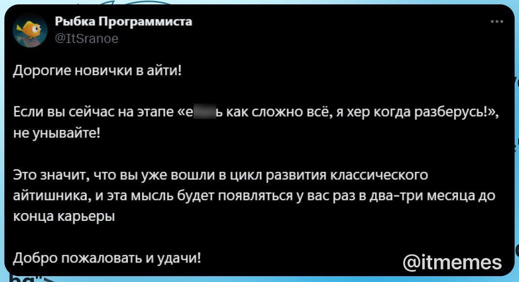 Если вы сейчас на этапе «еб*ть как сложно всё, я хер когда разберусь!» Мем со скриншотом поста в Твиттере для новичков в IT о том, что "еб*ть как сложно всё" — это нормально.