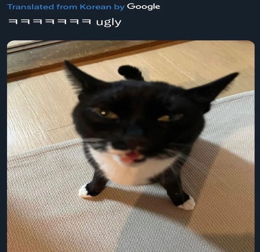 Уродливый кот Кот с надписью "EEEEEEE ugly"