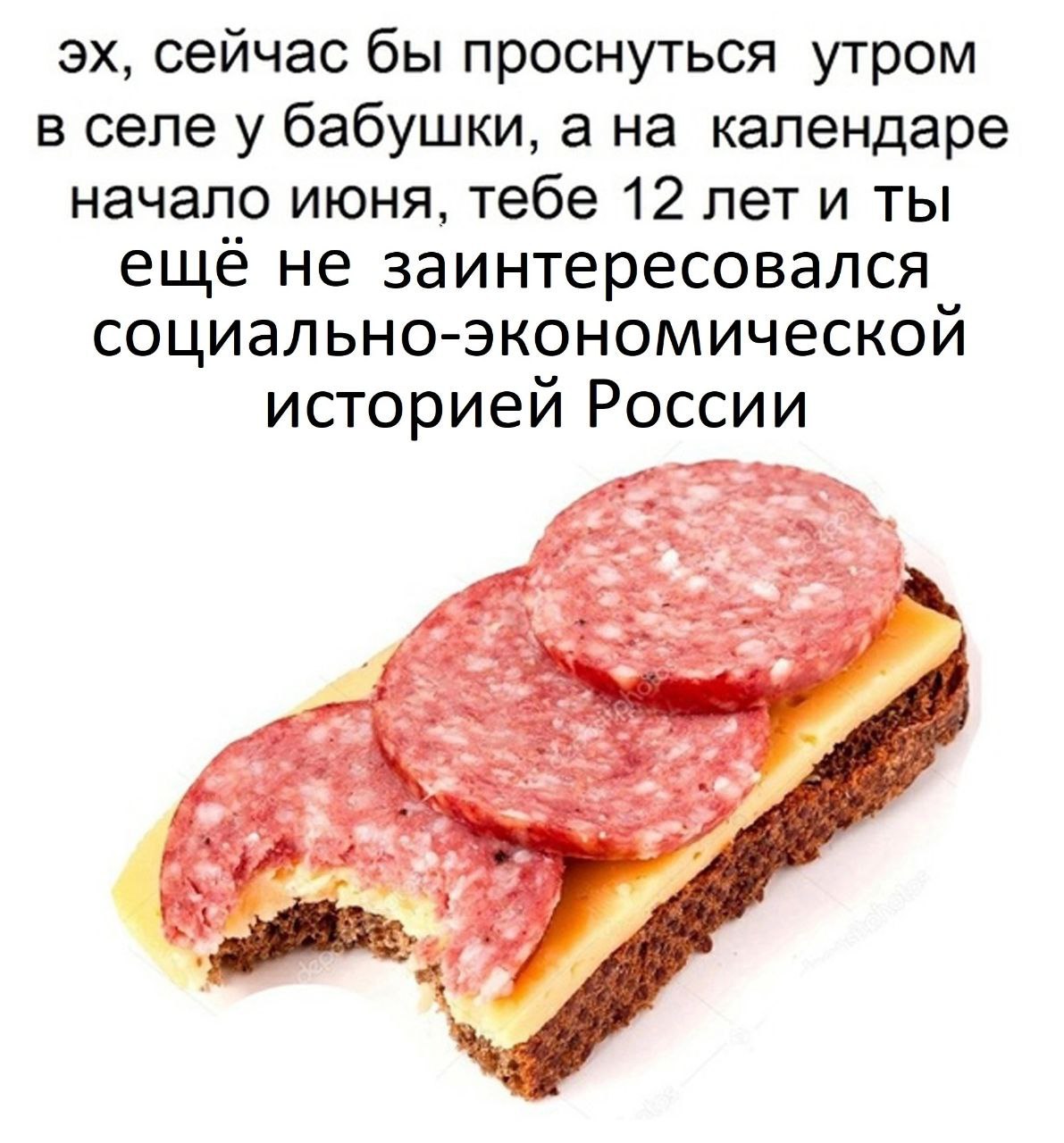 Эх, сейчас бы проснуться утром в селе у бабушки Мем с бутербродом и текстом про желание вернуться в детство, когда тебе 12 лет и ты еще не знаешь о социально-экономической истории России.