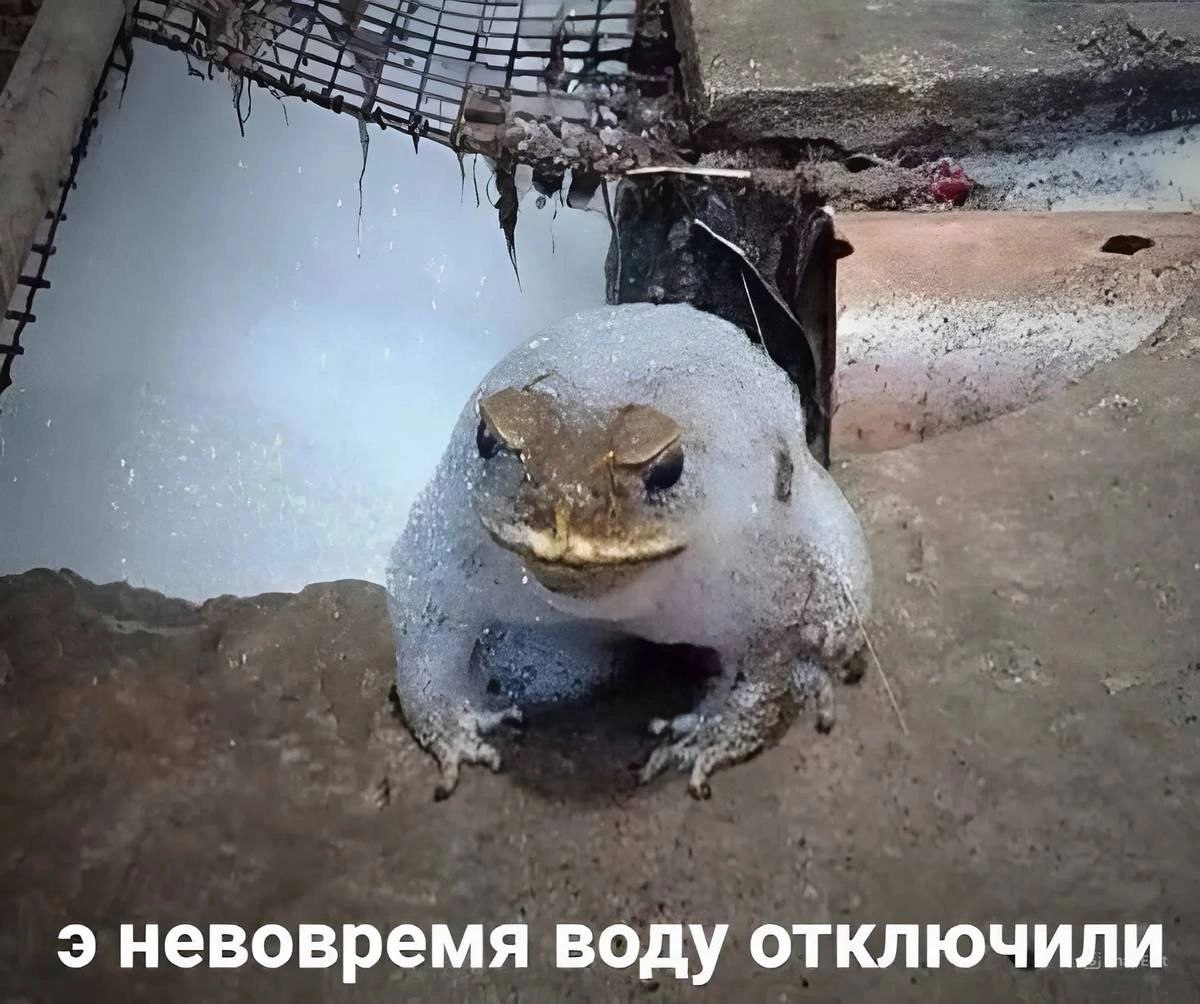 Э невовремя воду отключили Лягушка, замерзшая в лед с надписью "Э невовремя воду отключили"