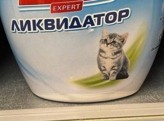 Упаковка средства «Эксперт Ликвидатор» с изображением милого котёнка на этикетке