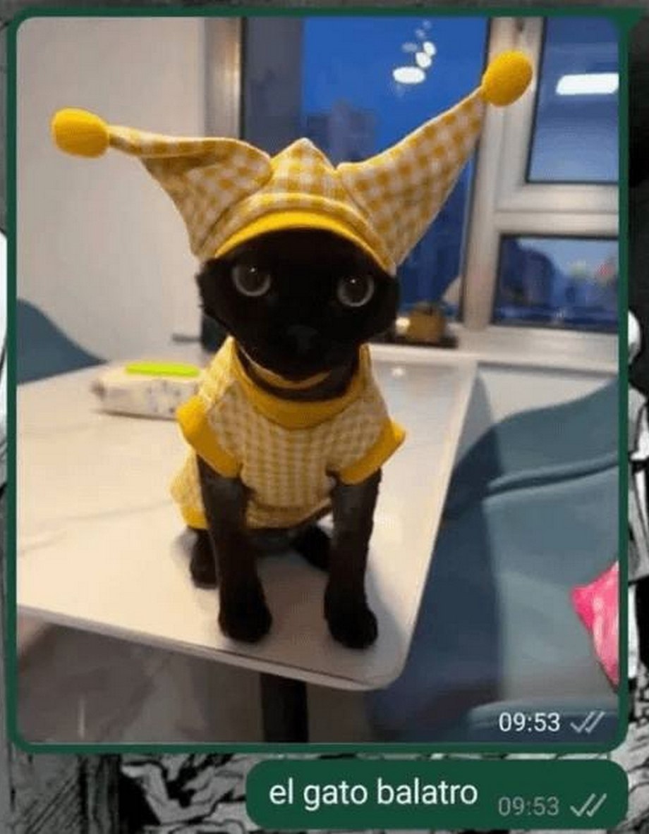 El gato balatro кот-клоун Черный кот в забавной желтой шапке и кофте сидит на столе с надписью «el gato balatro».