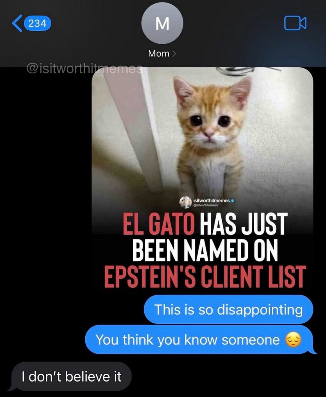 El Gato в списке клиентов Эпштейна Переписка мамы и ребенка о котенке El Gato, который якобы оказался в списке клиентов Эпштейна, что очень расстраивает.
