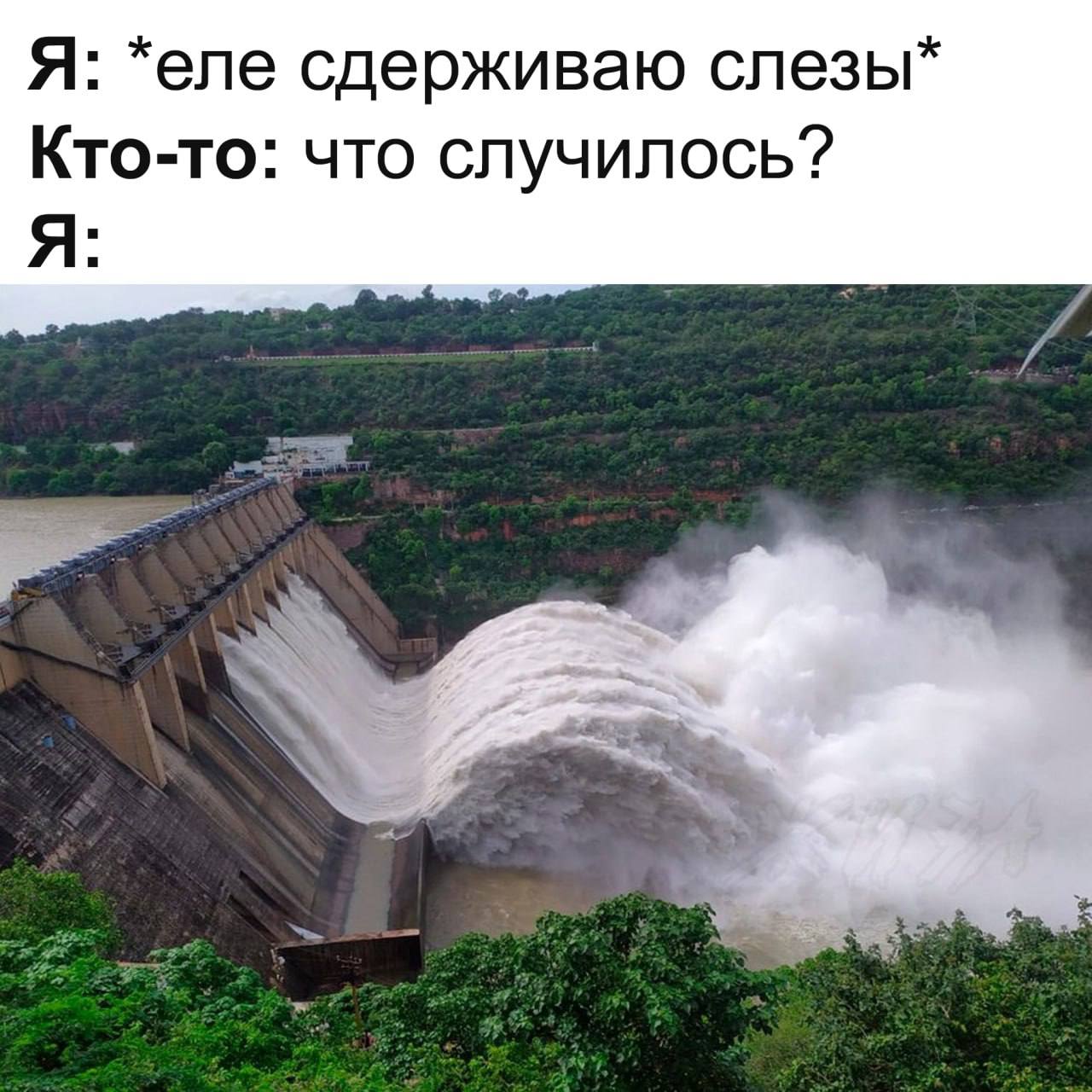 Еле сдерживаю слезы Мем с текстом «Я: *еле сдерживаю слезы*» и плотиной, из которой хлыщет вода.