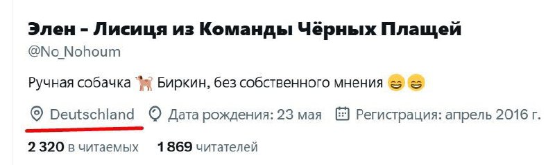 Аккаунт Элен Лисица из Команды Черных Плащей Мем с изображением скриншота профиля пользователя под ником Элен - Лисица из Команды Черных Плащей, в котором указана информация о ее аккаунте.