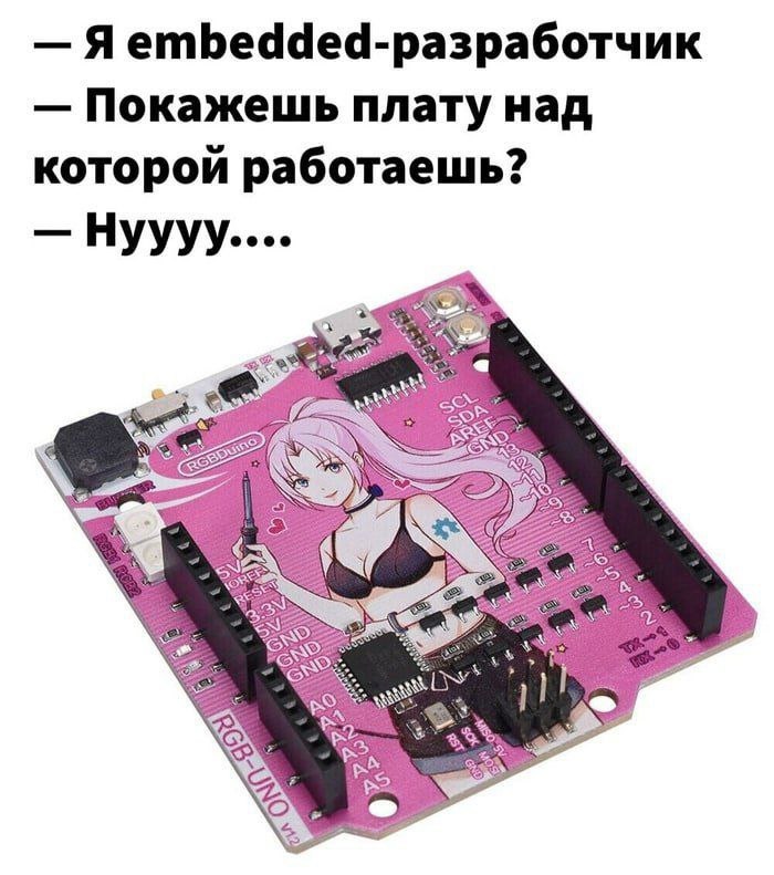 Embedded-разработчик и плата с аниме-девушкой Мем про embedded-разработчика, которого спрашивают, над какой платой он работает, и он стесняется показать плату с аниме-девушкой