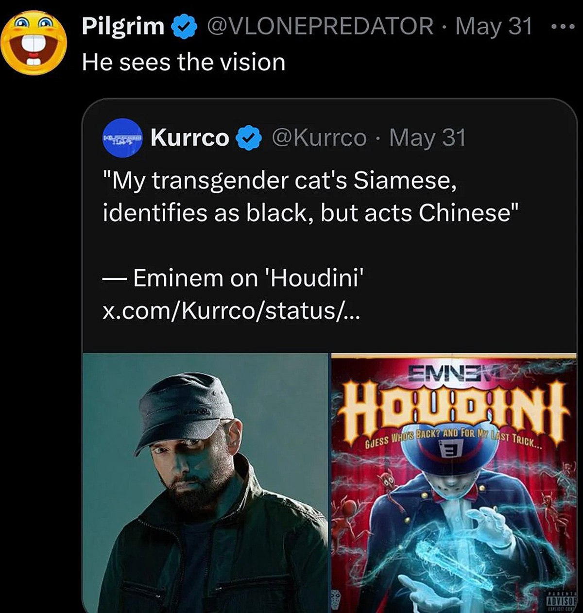 Эминем «My transgender cat's Siamese, identifies as black, but acts Chinese» Мем с цитатой Эминема из песни «Houdini»: «Моя кошка-трансгендер сиамская, идентифицирует себя как черная, но ведет себя как китаянка».