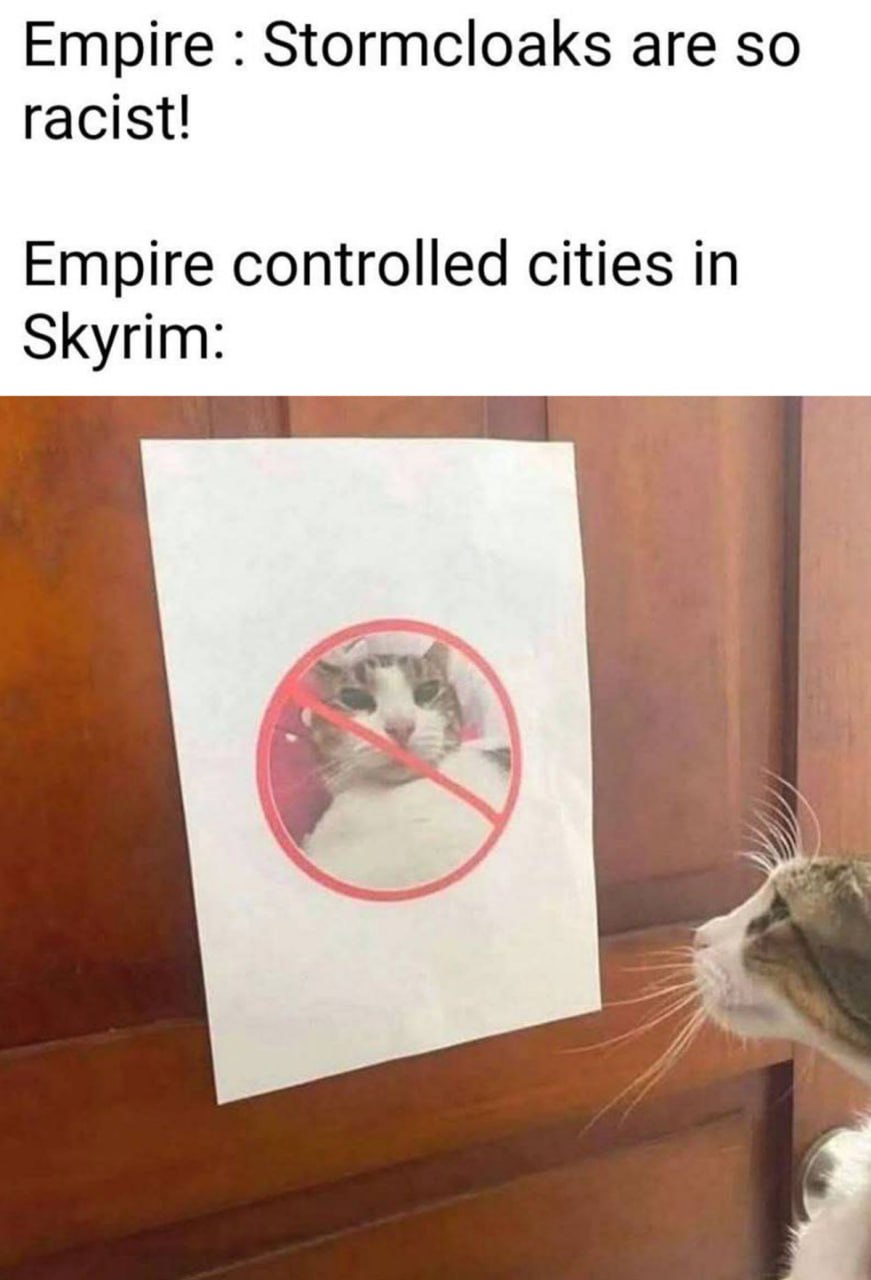 Empire Stormcloaks are so racist Мем про Империю и Братьев Бури в Скайриме, где кошке запрещен вход