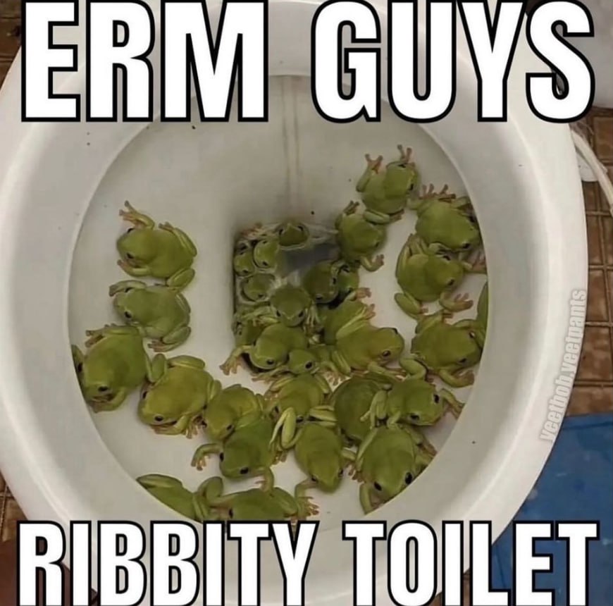 Erm guys ribbity toilet Erm guys ribbity toilet