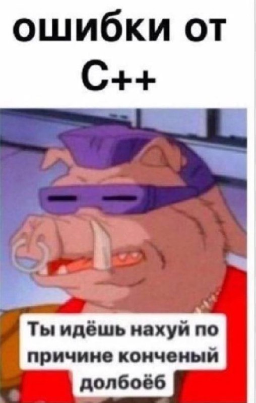Ошибки от C++ Ты идёшь нахуй Мем с кабаном Рокстеди из «Черепашек-ниндзя» и надписью «Ошибки от C++ Ты идёшь нахуй по причине конченый долбоёб»