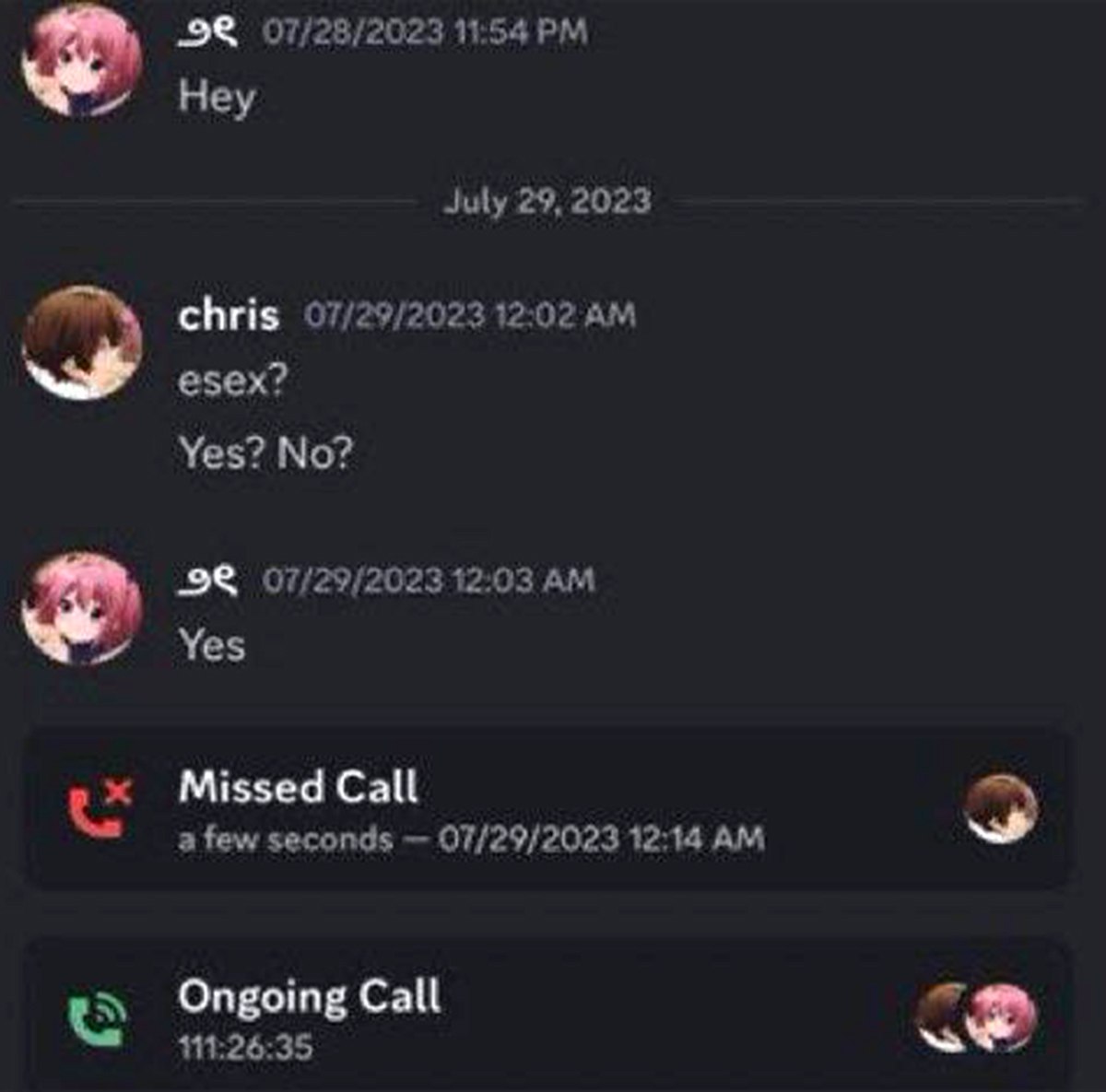 esex? Yes? No? Переписка в Discord, где пользователь спрашивает «esex?» и получает положительный ответ, после чего начинается долгий звонок