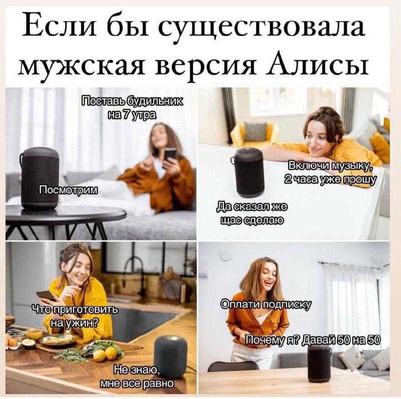 Если бы существовала мужская версия Алисы Мем "Если бы существовала мужская версия Алисы" с девушкой, общающейся с колонкой, которая ведет себя по-мужски.