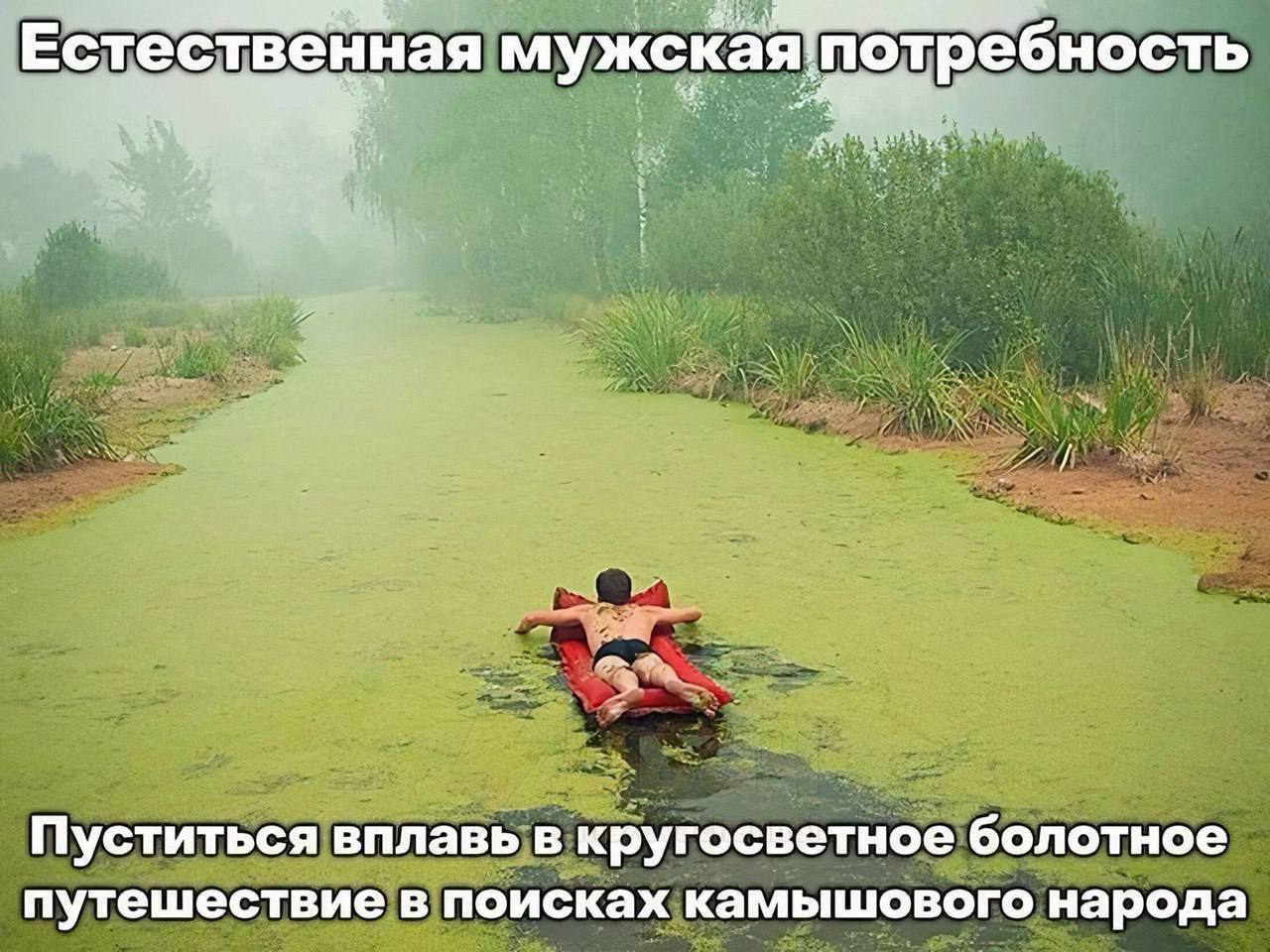 Естественная мужская потребность Мужчина плывет по болоту на надувном матрасе