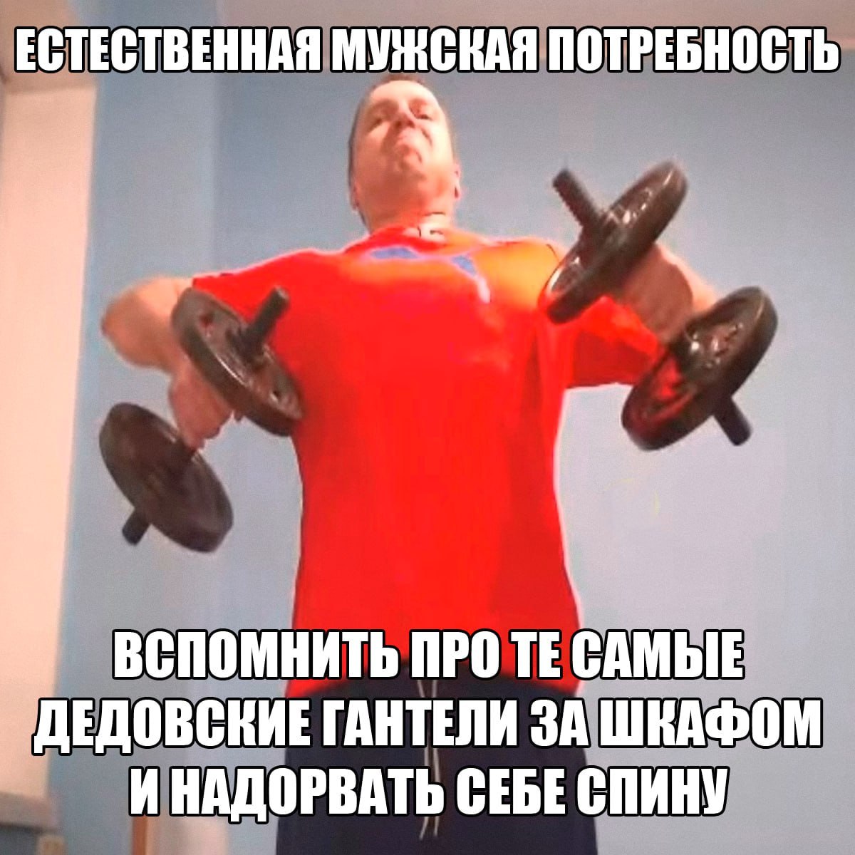 Естественная мужская потребность Мужчина в красной футболке, напряженно поднимающий гантели, найденные "за шкафом", со смешным выражением лица.