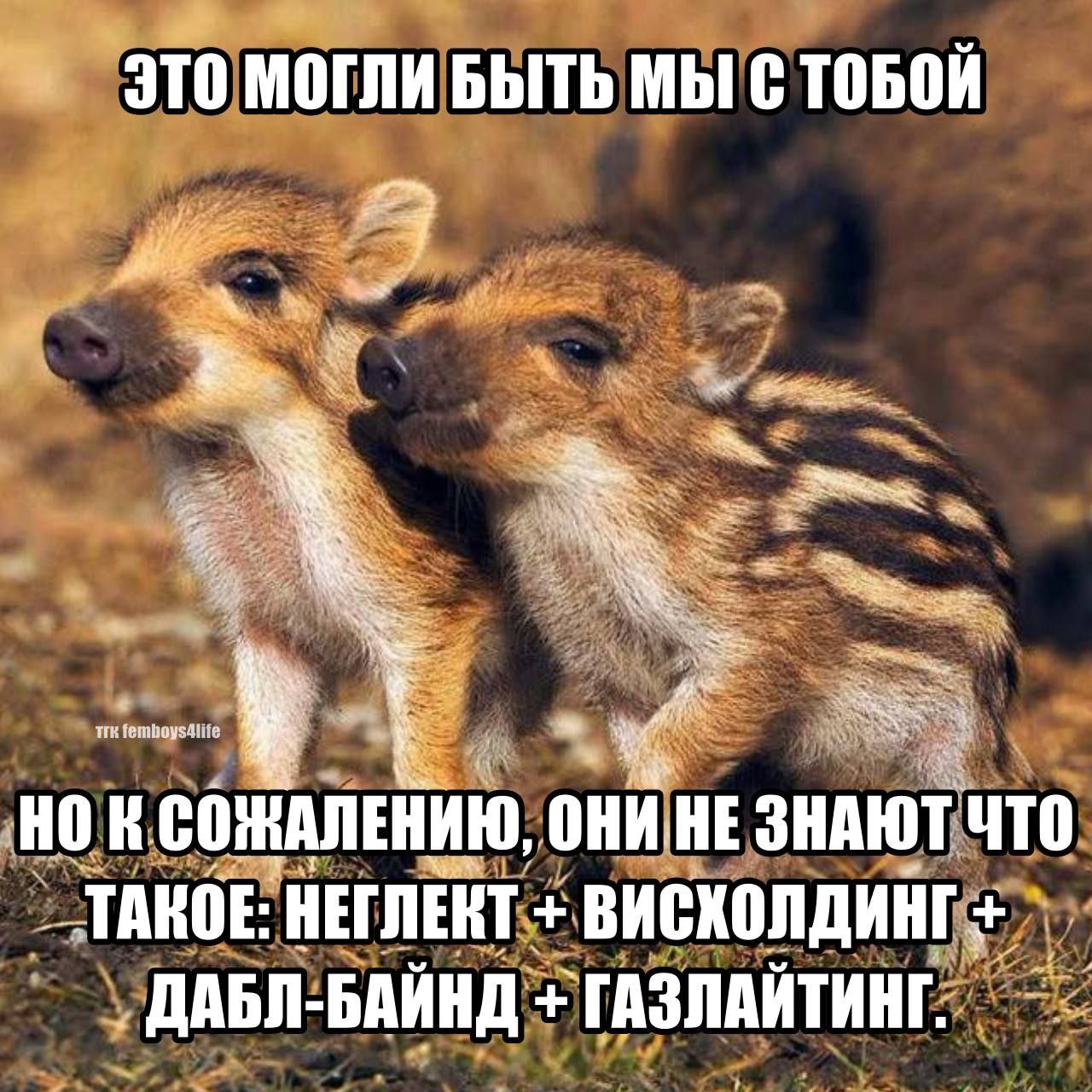 Это могли быть мы с тобой Это могли быть мы с тобой, но они не знают что такое неглект, висхолдинг, дабл-байнд и газлайтинг