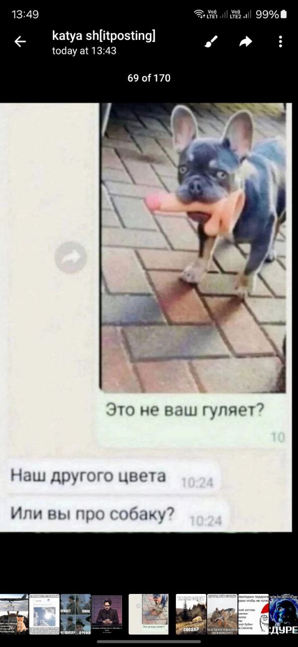 Это не ваш гуляет Мем с французским бульдогом, который держит во рту розовый фаллоимитатор, и перепиской: «Это не ваш гуляет?» – «Наш другого цвета. Или вы про собаку?»