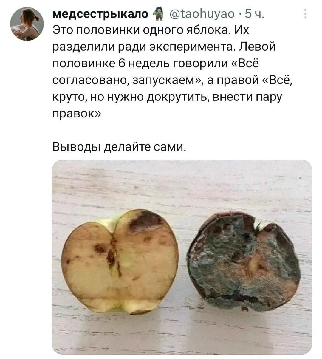 Скриншот твита про половинки одного яблока: одной 6 недель говорили «Всё согласовано, запускаем», а другой — «Всё круто, но нужно докрутить, внести пару правок»