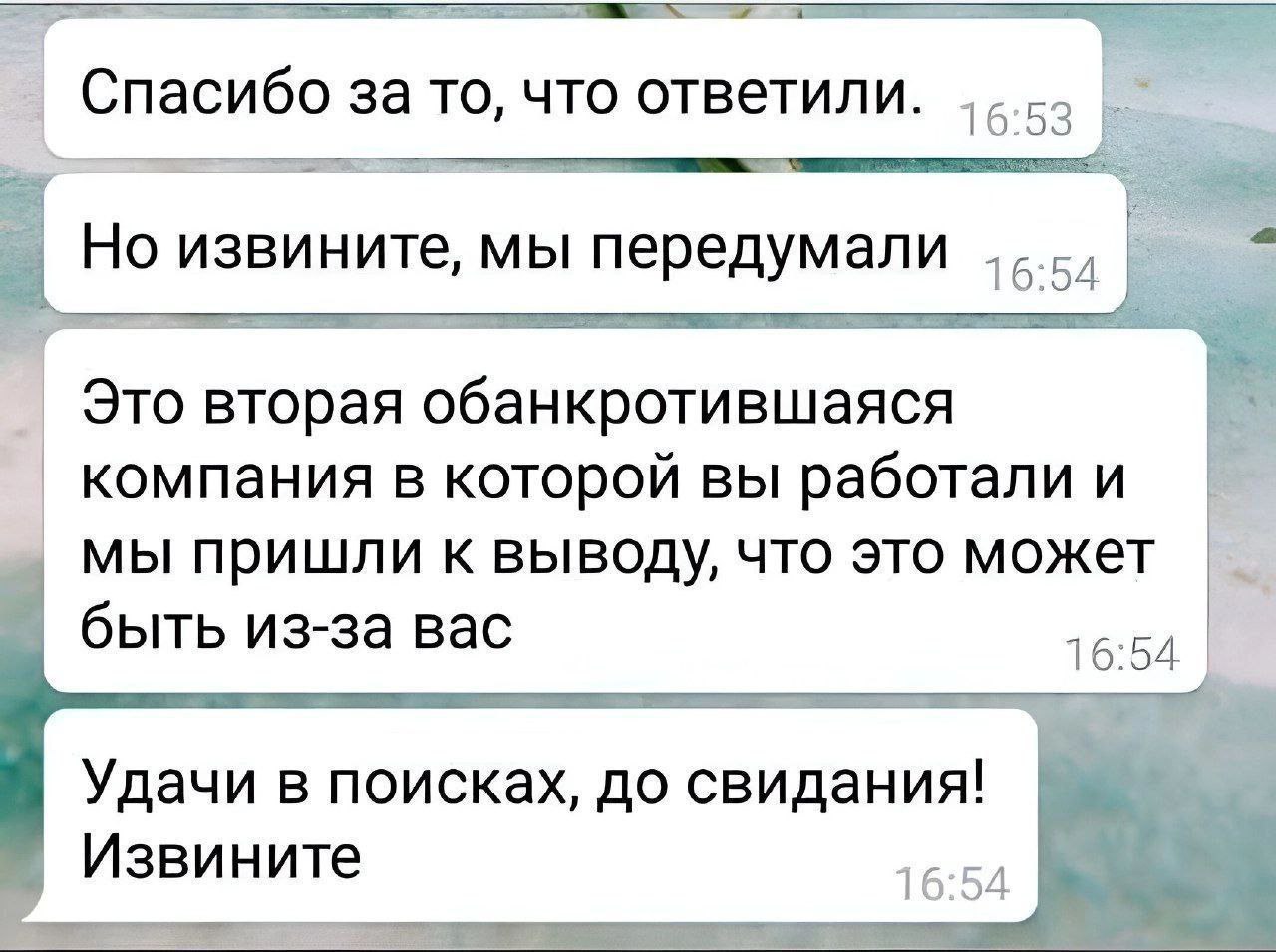 Это вторая обанкротившаяся компания в которой вы работали Переписка в мессенджере, где человеку отказывают в работе, потому что две компании, в которых он работал, обанкротились, и работодатель подозревает его в причастности к этому.