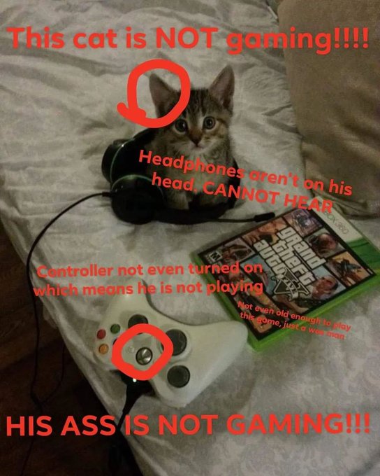 Этот кот не играет Маленький полосатый котенок сидит перед контроллером Xbox 360, диском с игрой Grand Theft Auto V и наушниками. Красные круги и текст на изображении указывают на то, что кот на самом деле не играет в игры.