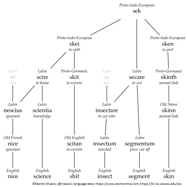 Этимологическая карта происхождения слов nice, science, shit, insect, segment и skin от протоиндоевропейского корня sek