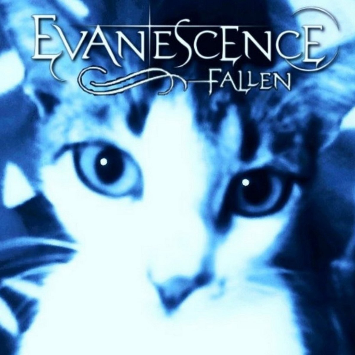 Кот Evanescence Fallen Мем с котом на обложке альбома Evanescence Fallen