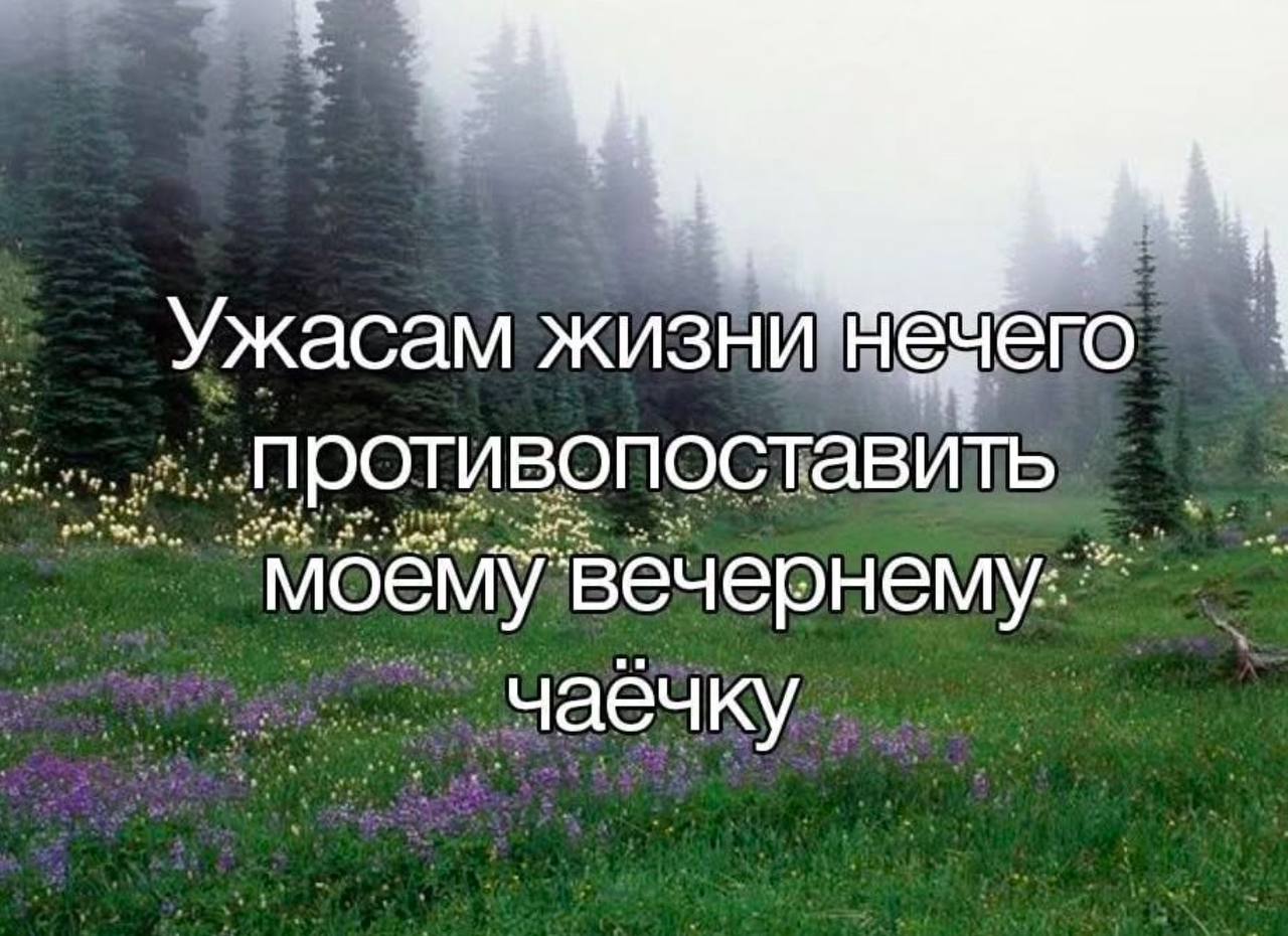 Ужасам жизни нечего противопоставить моему вечернему чаёчку Мем с надписью "Ужасам жизни нечего противопоставить моему вечернему чаёчку" на фоне туманного леса и цветущего поля