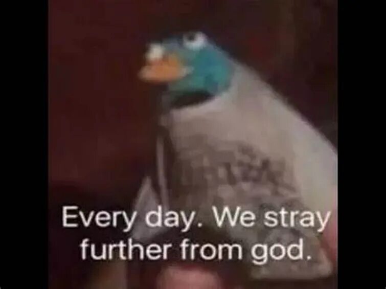 Every day. We stray further from god Мем с фразой «Every day. We stray further from god» и птицей, которая сидит в клетке.
