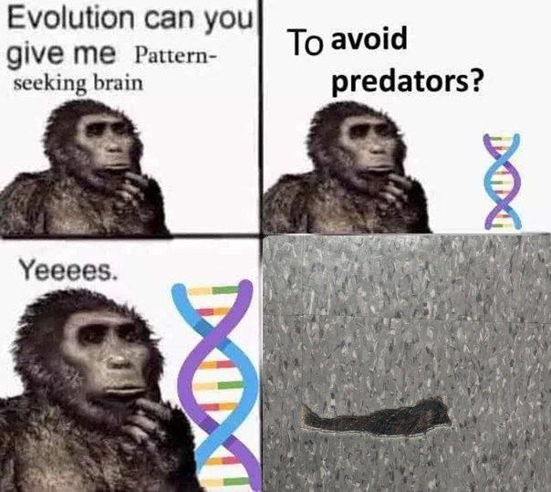Evolution can you give me pattern-seeking brain YEEES Мем про эволюцию и мозг, ищущий закономерности, где обезьяна просит мозг, чтобы видеть пятна на полу