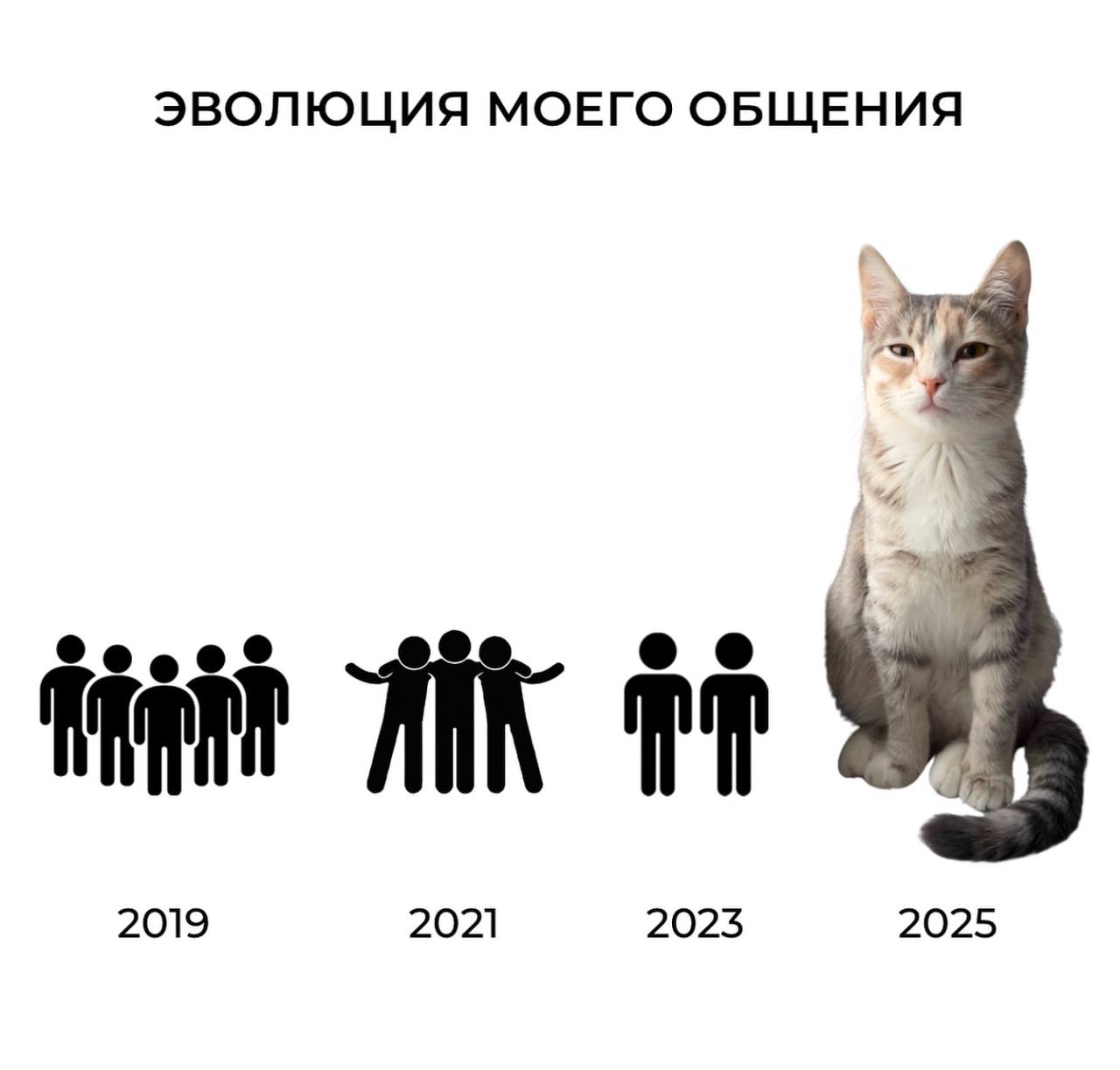 Эволюция моего общения Мем про эволюцию общения, где в 2019 году много людей, а в 2025 году только кот