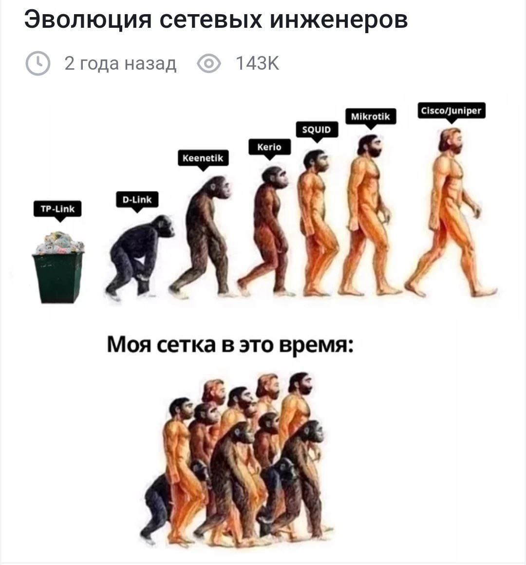 Эволюция сетевых инженеров Мем "Эволюция сетевых инженеров" изображает путь развития сетевых администраторов от новичков до профессионалов, используя метафору эволюции человека. В нижней части картинки показана "моя сетка", которая остается на уровне приматов, символизируя сложности и отставания в реальных сетевых системах.