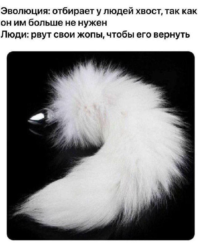 Эволюция забирает хвост Мем про эволюцию и хвост, который "возвращают"