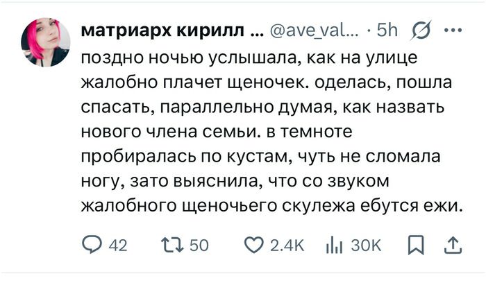 Ежи ебутся вместо щенка Девушка ночью услышала жалобный плач щенка на улице, оделась и пошла спасать, а оказалось, что это ежи