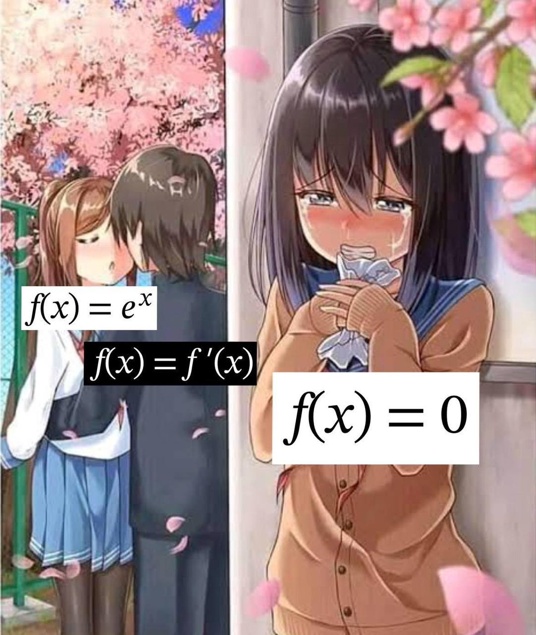 f(x) = e^x, f(x) = f'(x), f(x) = 0 f(x) = e^x, f(x) = f'(x), f(x) = 0 мем с аниме-девушкой