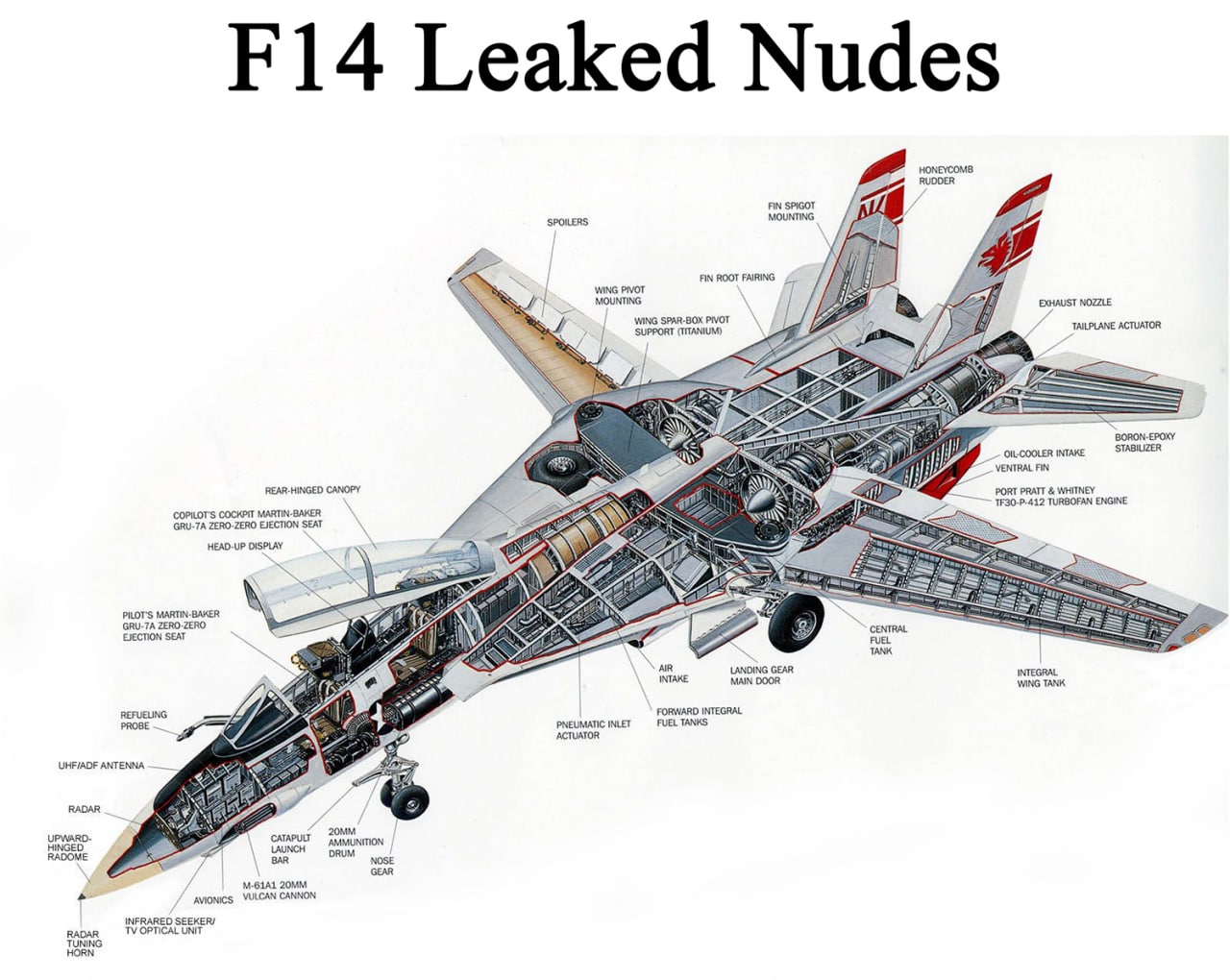 F14 Leaked Nudes Самолет F-14 Tomcat на схеме в разрезе с подписью F14 Leaked Nudes