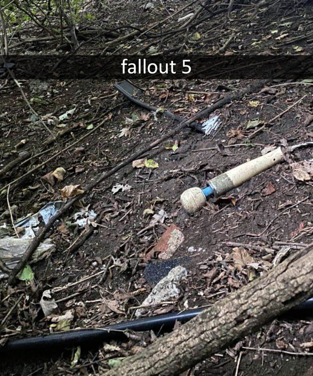 Fallout 5 Мем "Fallout 5" с грязным вибратором, который выглядит как дубинка из игры.