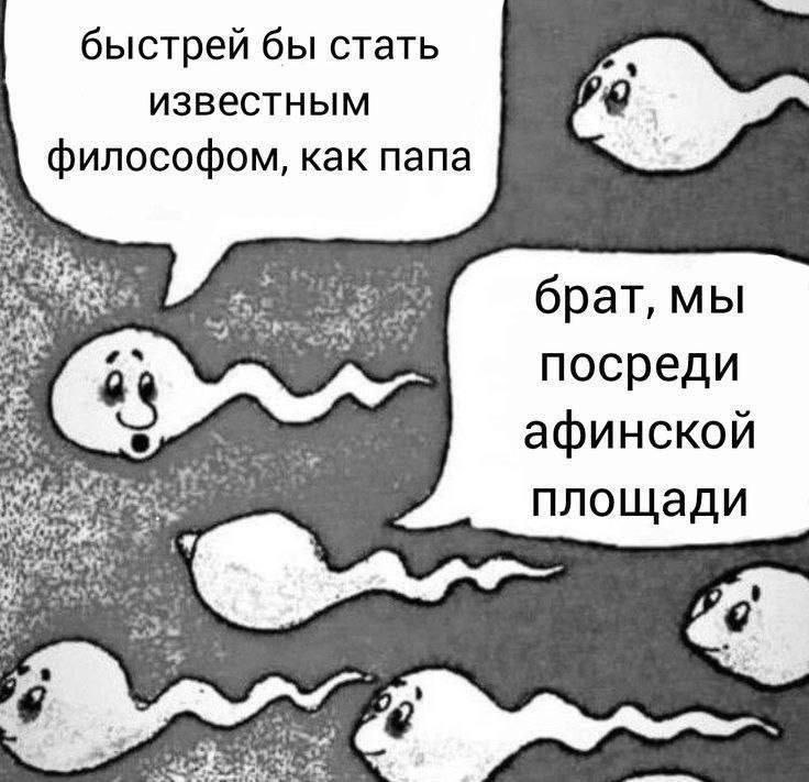 Быстрей бы стать известным философом, как папа Мем с разговором сперматозоидов про то, как один из них хочет стать известным философом, как папа, а другой напоминает, что они посреди афинской площади.
