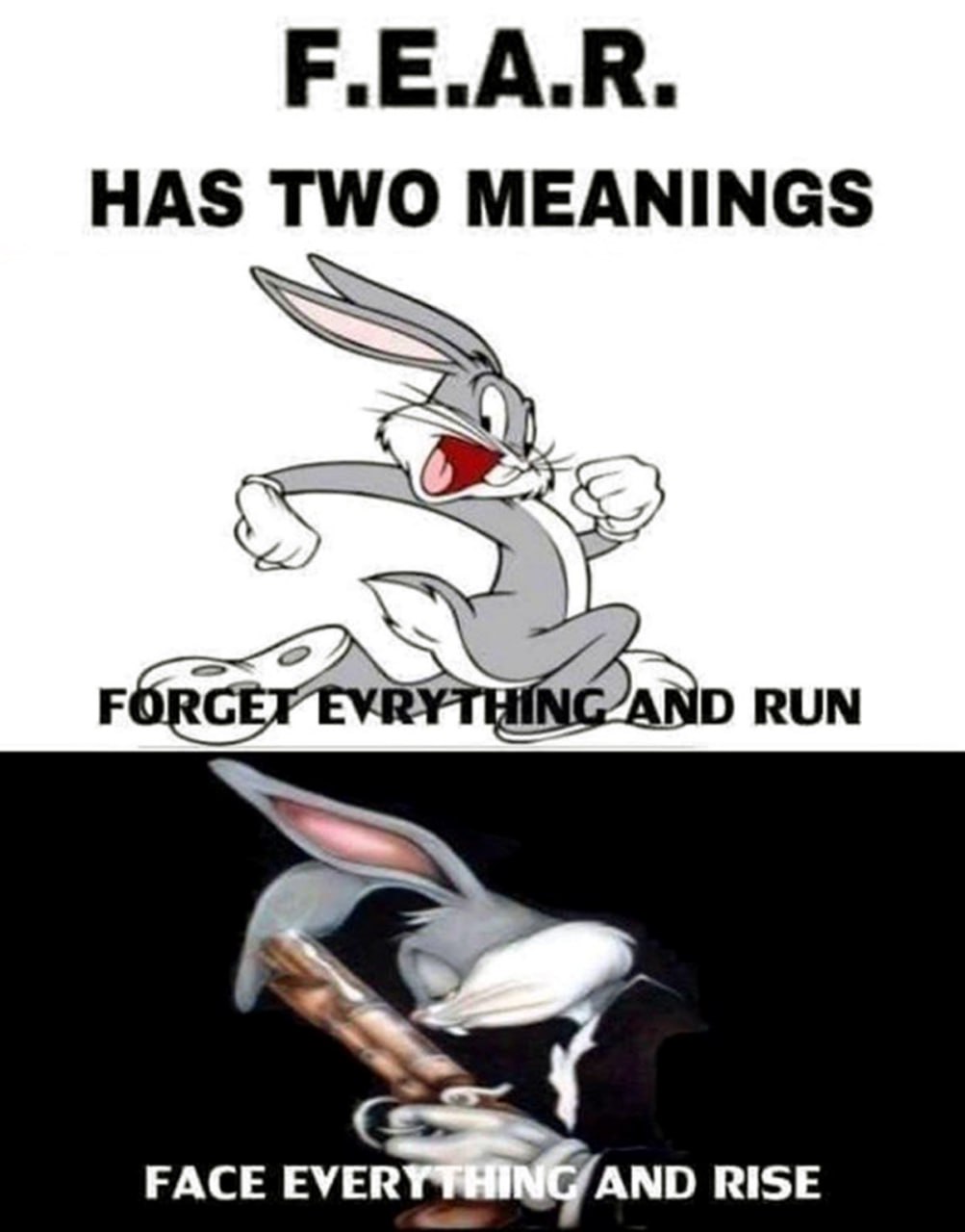 F.E.A.R. has two meanings Мем про страх и две его стороны со Скуби-Ду и Багзом Банни