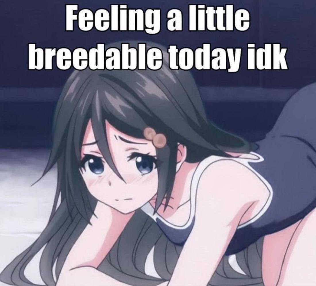Застенчивая аниме-девушка с надписью «Feeling a little breedable today idk» — «Кажется, сегодня я немного готова к размножению, не знаю».