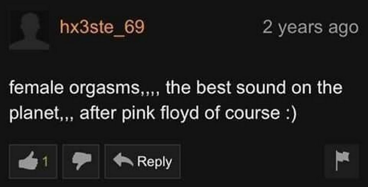 Female orgasms the best sound on the planet Комментарий на черном фоне: "Female orgasms,,, the best sound on the planet,,, after pink floyd of course :)