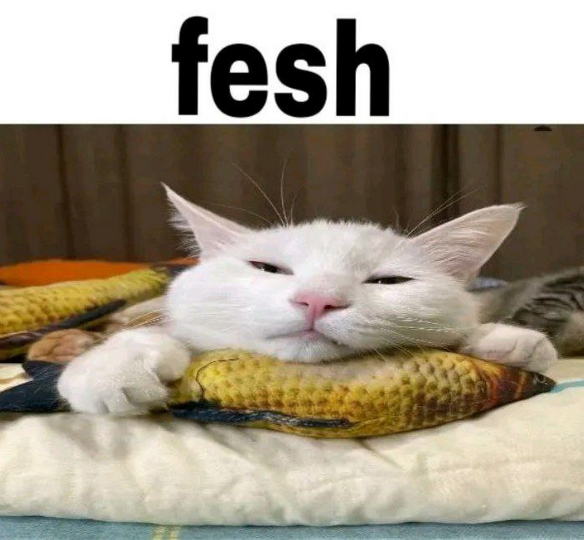 Кот Fesh Кот лежит на подушке с рыбой Fesh